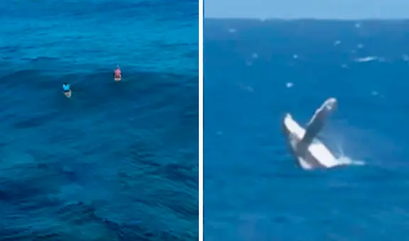 Ballena se roba el show durante finales de surf en París 2024 y usuarios reaccionan: “Les dio cátedra”