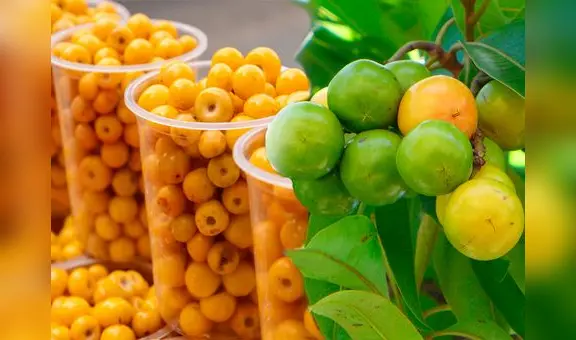 Esta es la fruta, considerada como 'alimento de oro', que reduce las arrugas y puedes consumirla como batido