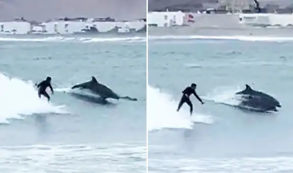 Surfista peruano practicaba en playa de Cañete y es sorprendido por delfines: “La mejor ola de su vida”