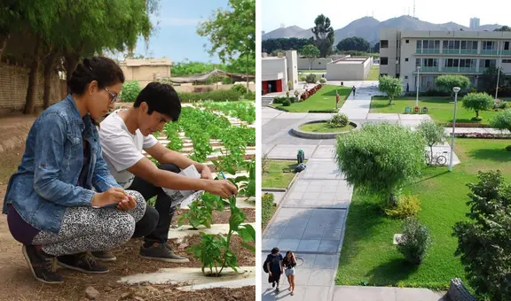 La universidad más grande del Perú superó a la UNMSM y la UNI: está presente en la Costa, Sierra y Selva