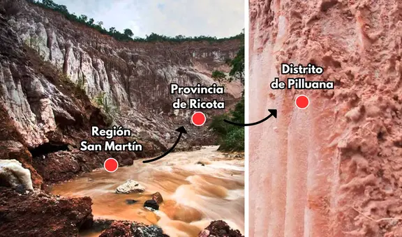 El tesoro de la selva peruana que data desde hace 200 millones de años: se utiliza en el tacacho y la cecina