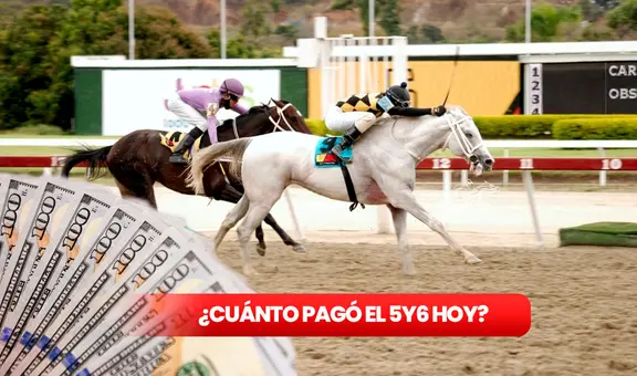 ¿Cuánto pagó el 5y6 de La Rinconada HOY, 11 de agosto? Revisa los cuadros, montos y dividendos del INH