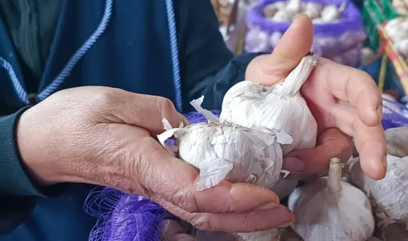 Precio del ajo se dispara: el kilo alcanza los 40 soles y podría llegar a 60 en estas regiones del Perú