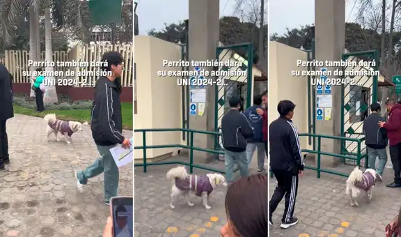 Captan a perrito ingresando a la UNI y usuarios bromean: “Va a dar su examen de admisión”