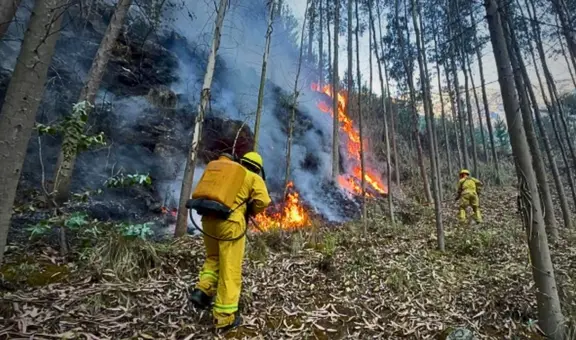 Senamhi advierte riesgo de incendios forestales en Cusco, Puno, Arequipa y otras 10 regiones hasta el 19 de agosto