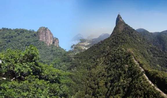 América Latina tiene el país con el bosque urbano más grande del mundo: alberga una de las 7 nuevas maravillas