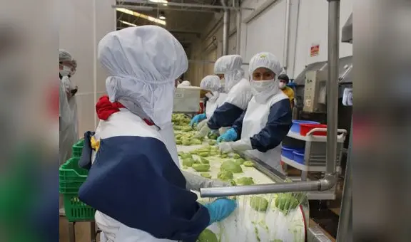 Empleos generados por exportaciones crecieron 4,6% en primer semestre