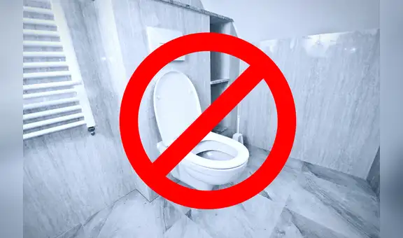 Descubre el único país con más prohibiciones del mundo: “No puedes olvidar bajar la tapa del inodoro”