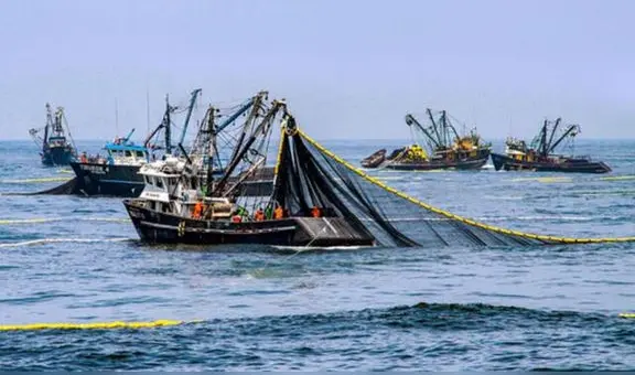 Denuncian que flotas chinas ilegales le cuesta US$300 millones al Perú