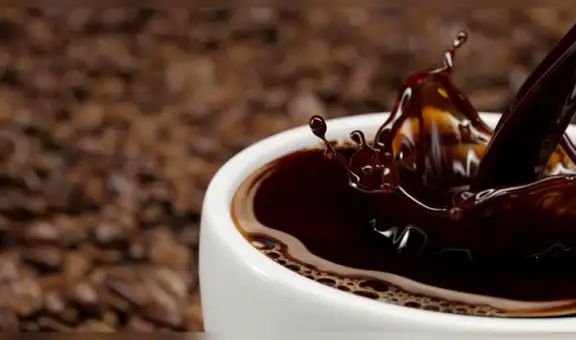 ¿Cómo es Invertir en Café Online y Comerciar en la Bolsa de Valores de Café?