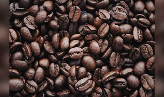 Como es invertir en café online y comerciar en la bolsa de valores de Café?