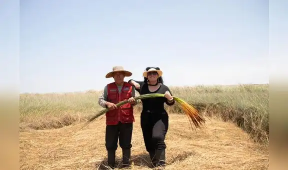 Emprendedora peruana crea ropa con fibras de aguaje