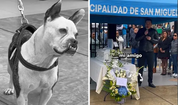 San Miguel despidió a Rocket, el perrito más querido del distrito: “Se fue sintiéndose amado”