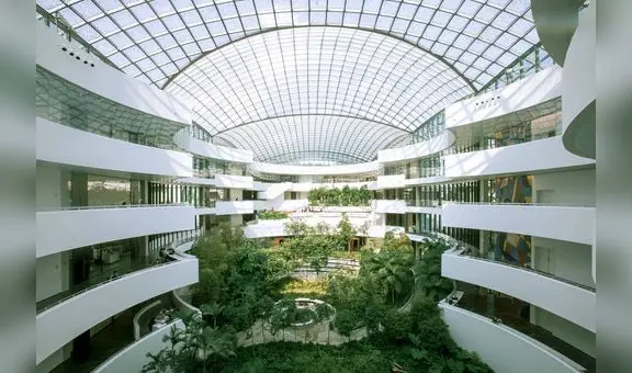 El mejor y más moderno hospital de América Latina: tratan el cáncer y enfermedades incurables