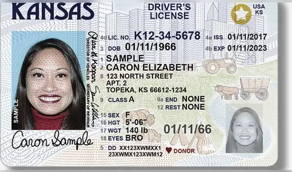 Ni VISA ni licencia de conducir: esta es la única tarjeta que debes usar para viajar en Estados Unidos en 2025