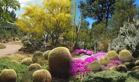 El jardín de flores más hermoso del mundo está en Estados Unidos: alberga más 2.000 plantas nativas de América Latina