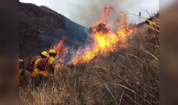Incendios arrasan miles de hectáreas de bosques y cultivos