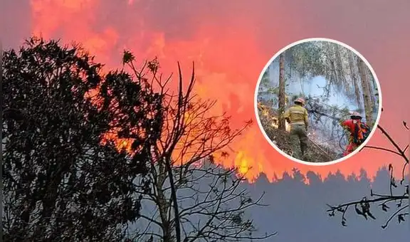 Ordenan prisión preventiva contra 2 comuneros por provocar incendio forestal en Cusco: siniestro duró 30 horas