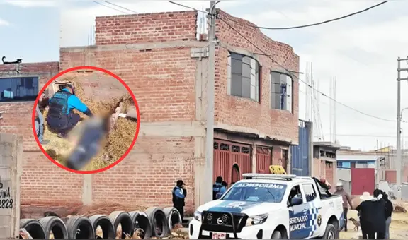 Perrito alerta a vecinos sobre el deceso de su dueño: adulto mayor muere al caer del tercer piso en Puno