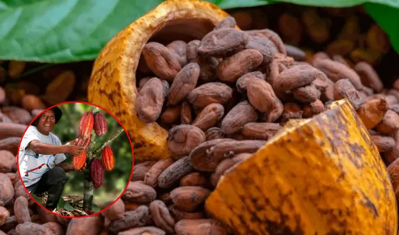 Día del Chocolate: factores que elevan el precio del cacao, ¿a cuánto?