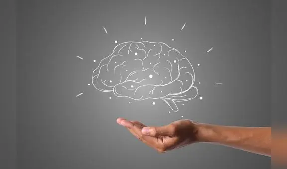 Este es el mejor suplemento natural para mejorar la memoria, según Harvard: también previene el cáncer y Alzheimer