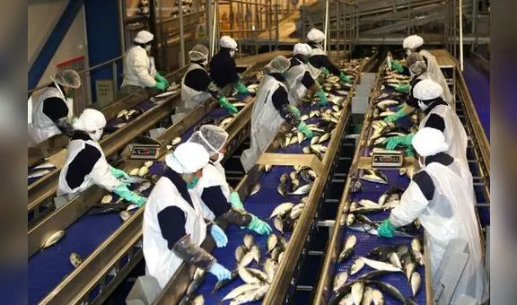 Economía registró notable rebote en julio y creció 4,47%