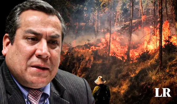 Gustavo Adrianzén sobre incendios forestales en el país: "Son provocados por prácticas ancestrales"