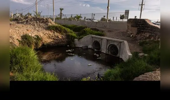 Los Pantanos de Villa en Chorrillos en peligro por la contaminación y acumulación de basura