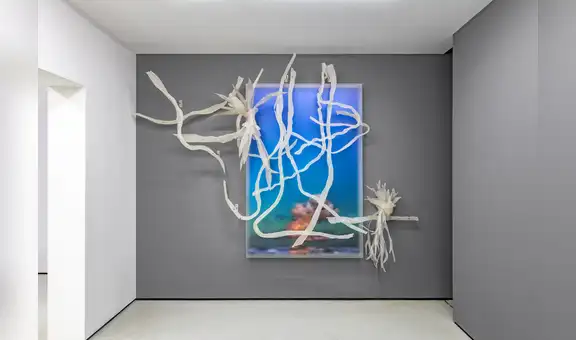 Nueva muestra individual de Juan José Barboza-Gubo: “Desborde”