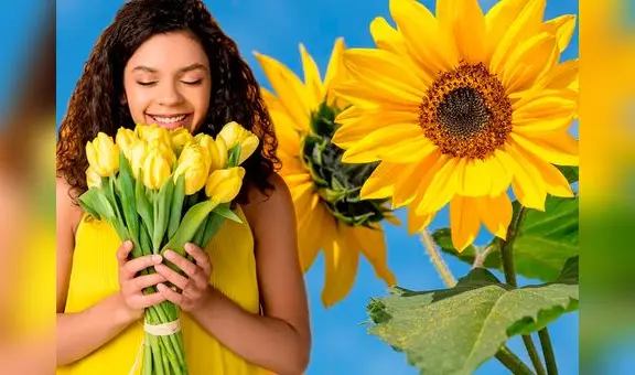 ¿Qué significan regalar flores amarillas y por qué se entregan cada 21 de septiembre?