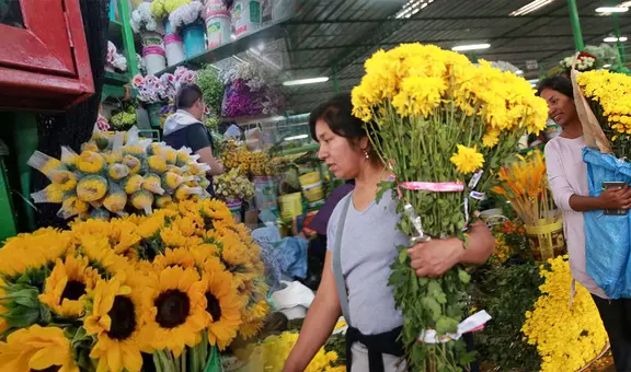 ¿Dónde comprar flores amarillas en Lima? Los 3 mercados imperdibles para el 21 de septiembre
