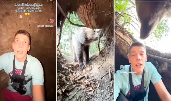Hombre entra a la cueva de un oso y vive terrible experiencia al ver que el 'dueño' regresa a su casa