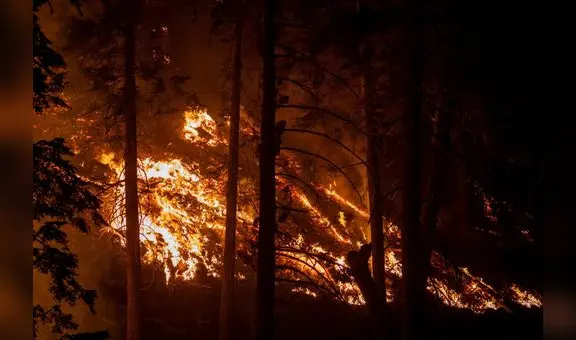 Una joyita de novela de Richard Ford: “Incendios”