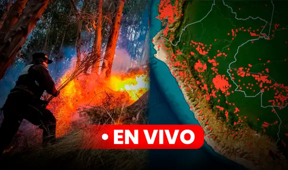 Incendios forestales Perú 2024 EN VIVO: Indeci reporta 20 fallecidos y 40 focos activos en 22 regiones