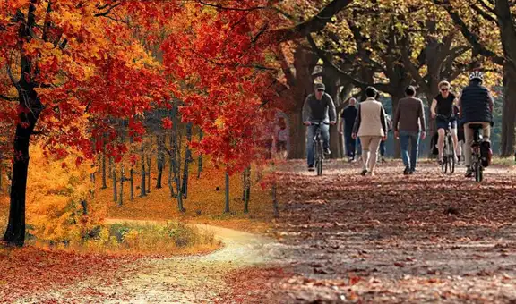 Bienvenido otoño 2024: cuándo inicia en México, FRASES bonitas para dedicar y dar la bienvenida a la nueva estación