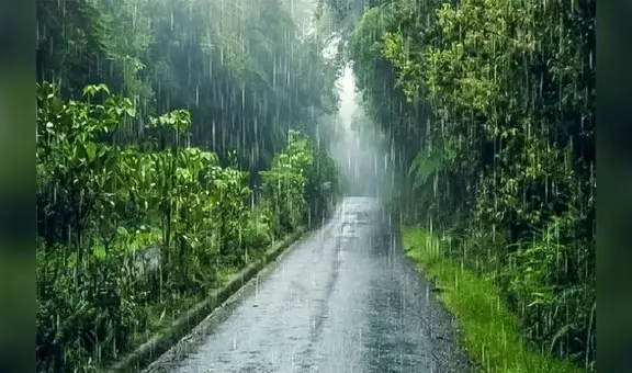 Senamhi: Lluvias de primavera podrían ayudar en el control de siniestros