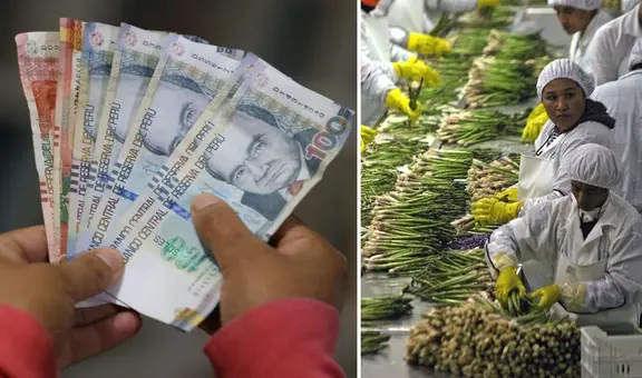 ¿Habrá aumento de sueldo mínimo para el sector privado en Perú este 2024? Esta es la información oficial del MTPE