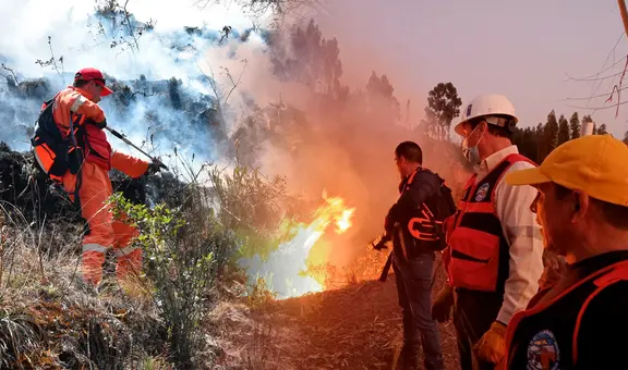 Bono para afectados de los incendios forestales en todo el Perú: ¿cómo saber si soy beneficiario?
