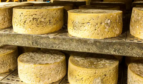 El queso más antiguo de la historia encontrado en China revela la supervivencia entre humanos y microbios