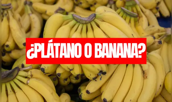 Ni plátano, ni banana: esta fruta es nombrada de otra manera en más de un país de Sudamérica