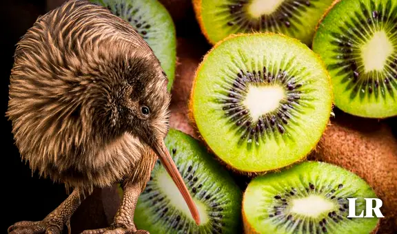 'Kiwi' el ave con nombre de fruta que no vuela: tiene fosas nasales en su pico y es símbolo de un país