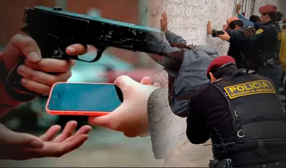 ¿Te robaron y a las horas liberaron al delincuente de la comisaria?: las razones por las que no van a prisión en Perú, según abogados