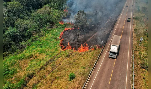 Incendio forestal en Madre de Dios arrasa 30 hectáreas y avanza hacia Cusco dejando animales silvestres muertos