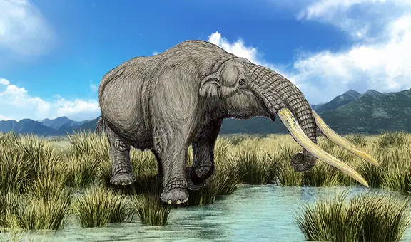 Los mastodontes que habitaron en Junín