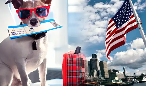 ¿Quieres viajar a Estados Unidos con tu mascota? Estos son los requisitos para entrar a USA