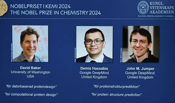 Premio Nobel de Química 2024 para David Baker, Demis Hassabis y John Jumper por descifrar la estructura de las proteínas