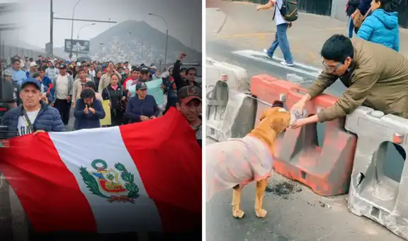 ‘Firulais’ acompañó a protestantes durante paro de transportistas y conmueve: “Le invitaron agua”