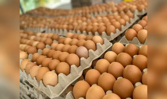 Industria avícola pierde más de S/3 millones semanales