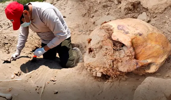 Hallazgo en Lambayeque: entierros humanos junto a animales en excavación arqueológica de Monsefú