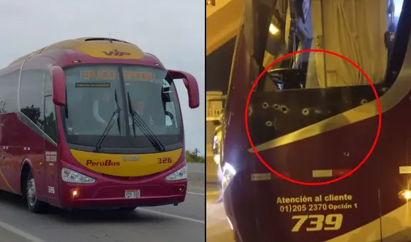 Atacan a balazos a vehículo 'Perú bus' con pasajeros a bordo: unidad no se detuvo en su ruta hacia Ica